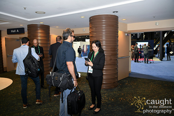 1901 APEX IFSA GlobalExpo 2025 Long Beach