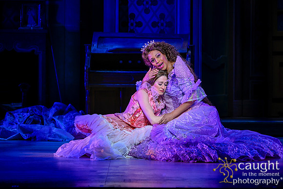 101 Cinderella Musical Theatre West Live Production