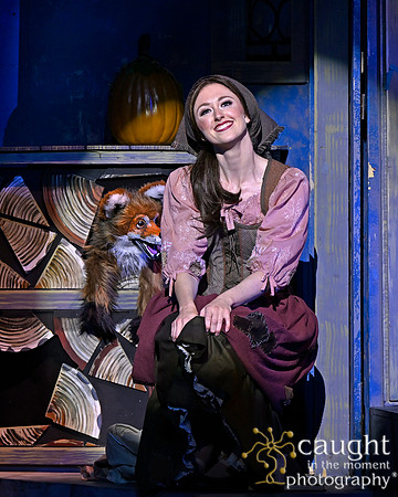 005 Cinderella Musical Theatre West Live Production