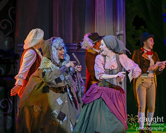 008 Cinderella Musical Theatre West Live Production