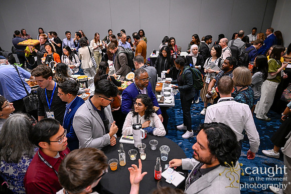 979 IEEE PES General Meeting 2025 Austin