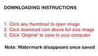 Downloading Instructions
