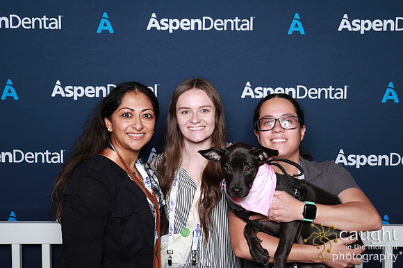 005 ADHA 2025 - Puppy Play Pen (Saturday)