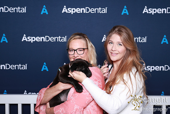 004 ADHA 2025 - Puppy Play Pen (Saturday)
