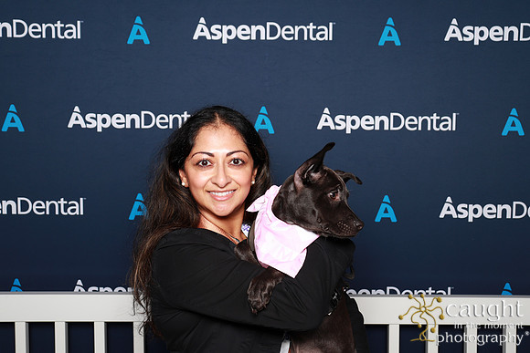 006 ADHA 2025 - Puppy Play Pen (Saturday)
