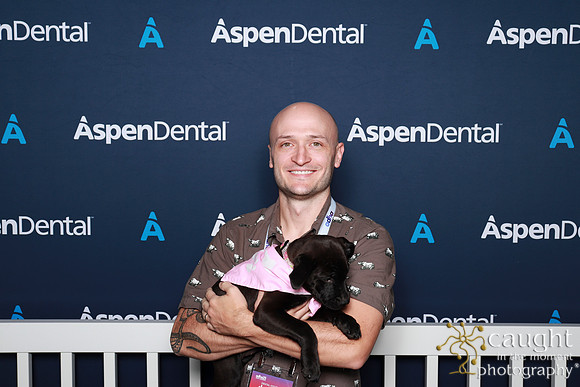 007 ADHA 2025 - Puppy Play Pen (Saturday)