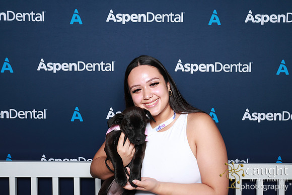 012 ADHA 2025 - Puppy Play Pen (Saturday)