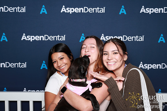 015 ADHA 2025 - Puppy Play Pen (Saturday)
