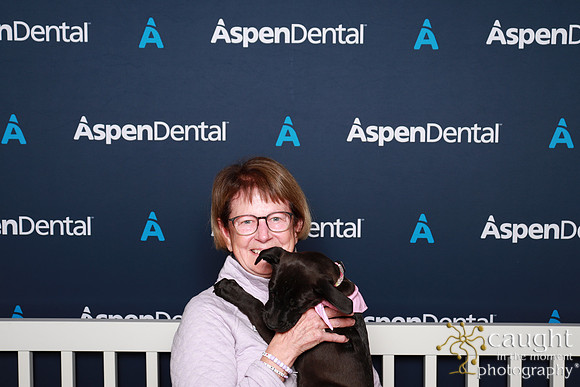 017 ADHA 2025 - Puppy Play Pen (Saturday)