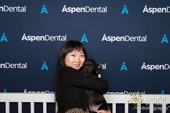 024 ADHA 2025 - Puppy Play Pen (Saturday)