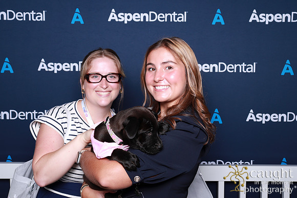027 ADHA 2025 - Puppy Play Pen (Saturday)