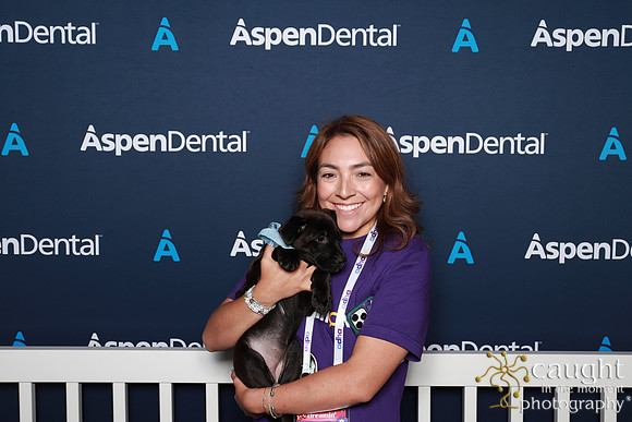 032 ADHA 2025 - Puppy Play Pen (Saturday)
