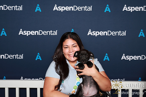 036 ADHA 2025 - Puppy Play Pen (Saturday)