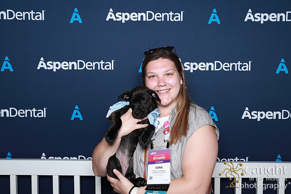 038 ADHA 2025 - Puppy Play Pen (Saturday)