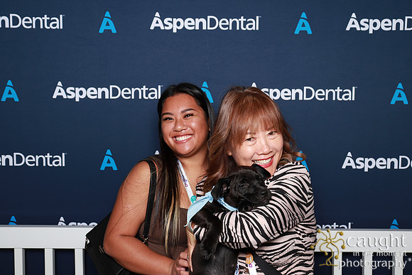 041 ADHA 2025 - Puppy Play Pen (Saturday)