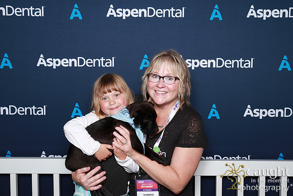 047 ADHA 2025 - Puppy Play Pen (Saturday)