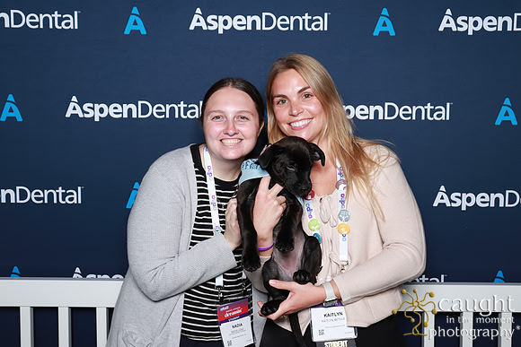 050 ADHA 2025 - Puppy Play Pen (Saturday)