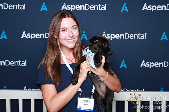 052 ADHA 2025 - Puppy Play Pen (Saturday)