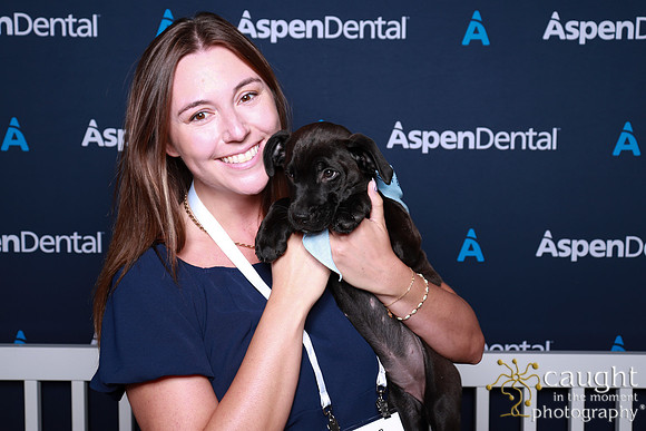 053 ADHA 2025 - Puppy Play Pen (Saturday)
