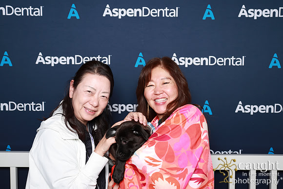 055 ADHA 2025 - Puppy Play Pen (Saturday)