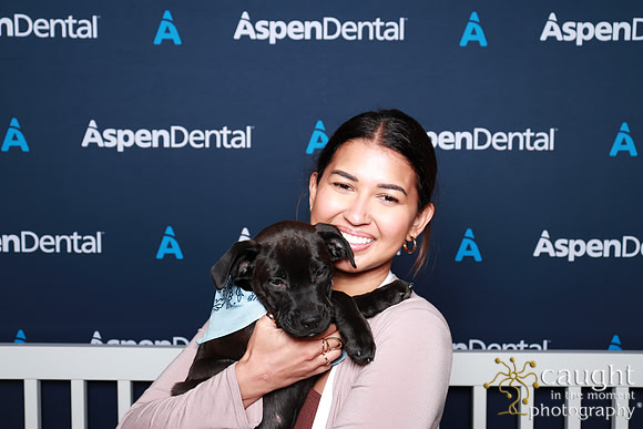 056 ADHA 2025 - Puppy Play Pen (Saturday)
