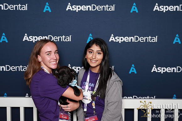 059 ADHA 2025 - Puppy Play Pen (Saturday)