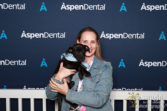 060 ADHA 2025 - Puppy Play Pen (Saturday)