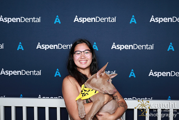 072 ADHA 2025 - Puppy Play Pen (Saturday)