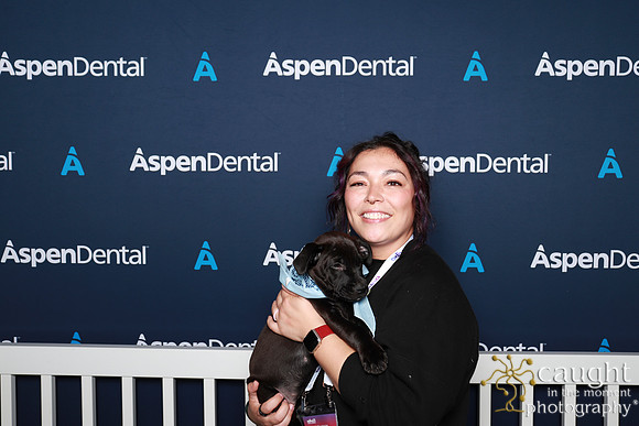 077 ADHA 2025 - Puppy Play Pen (Saturday)