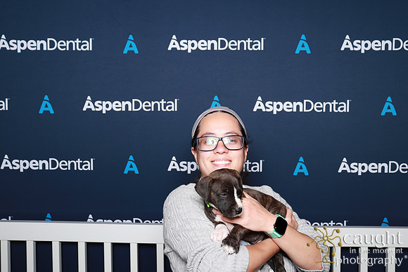 093 ADHA 2025 - Puppy Play Pen (Saturday)