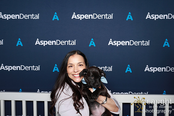 097 ADHA 2025 - Puppy Play Pen (Saturday)