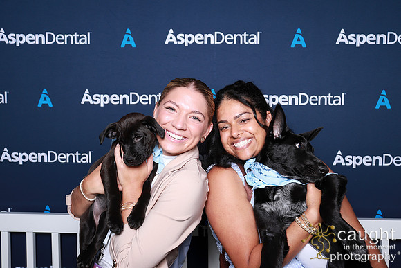100 ADHA 2025 - Puppy Play Pen (Saturday)
