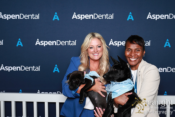 102 ADHA 2025 - Puppy Play Pen (Saturday)
