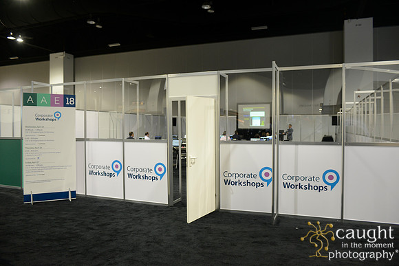 429 AAE 2018 in Denver-Corporate Workshops & Lectures