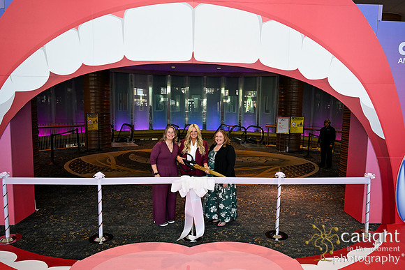295 ADHA25 Annual Conference Long Beach