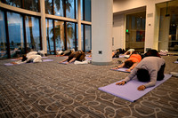 491 ADHA25 Annual Conference Long Beach