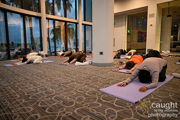 491 ADHA25 Annual Conference Long Beach