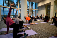 495 ADHA25 Annual Conference Long Beach