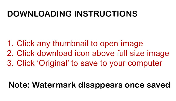 Downloading Instructions