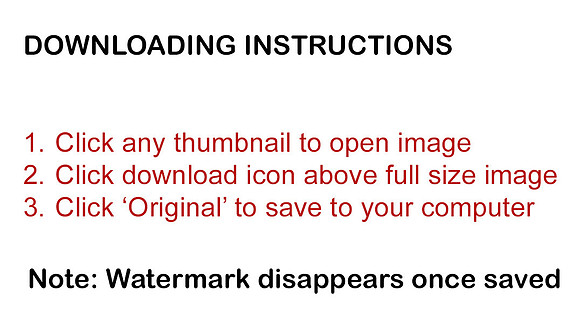 Downloading Instructions