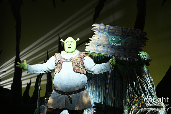 _SAL8462