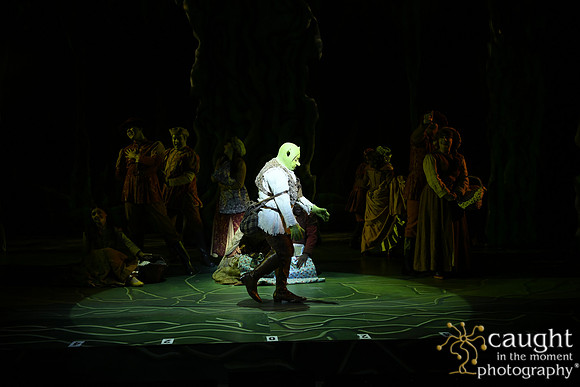 _SAL8431