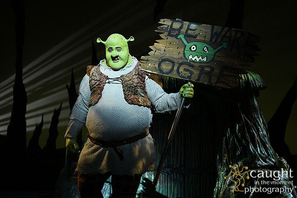 _SAL8466