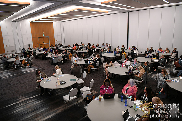 176 AHIMA 2025 Minneapolis