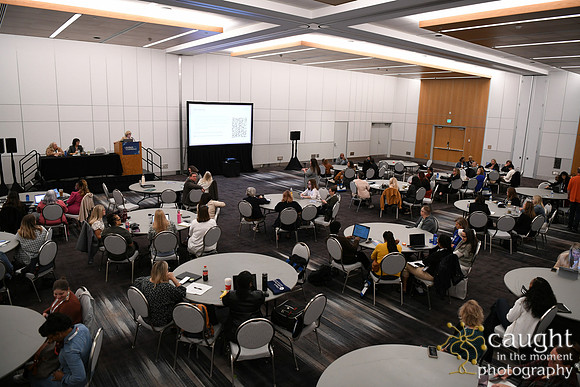 175 AHIMA 2025 Minneapolis