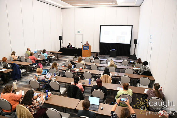 300 AHIMA 2025 Minneapolis
