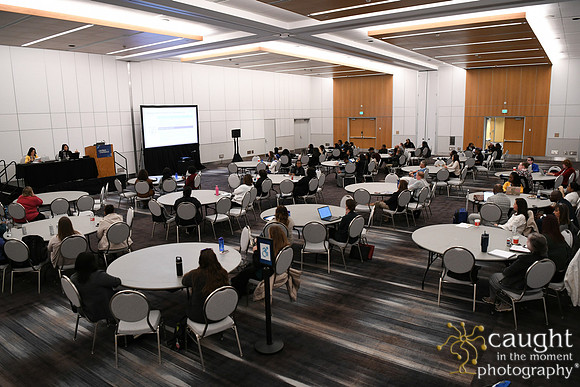 328 AHIMA 2025 Minneapolis