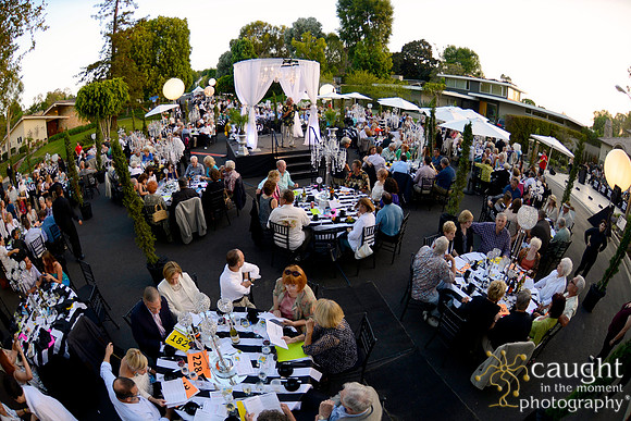 109 MTW Broadway in the Park 2014