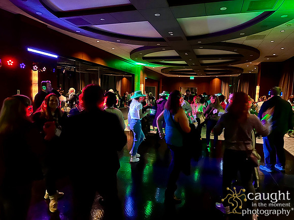 Highlights IMG_9967 2