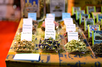 272 WorldTeaExpo2015LongBeachConferenceandConvention